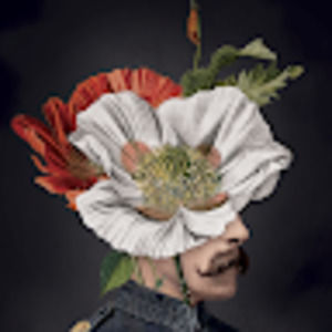 Meet your Posher, Leonardo